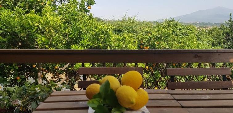 L'Aranceto Villa Ачиреале Екстериор снимка