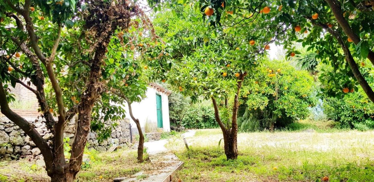 L'Aranceto Villa Ачиреале Екстериор снимка